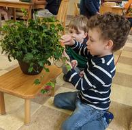 Two boys together observing a plant — nature exploration