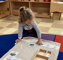 Child working with classification cards on a mat