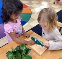 Two children exploring a plant together