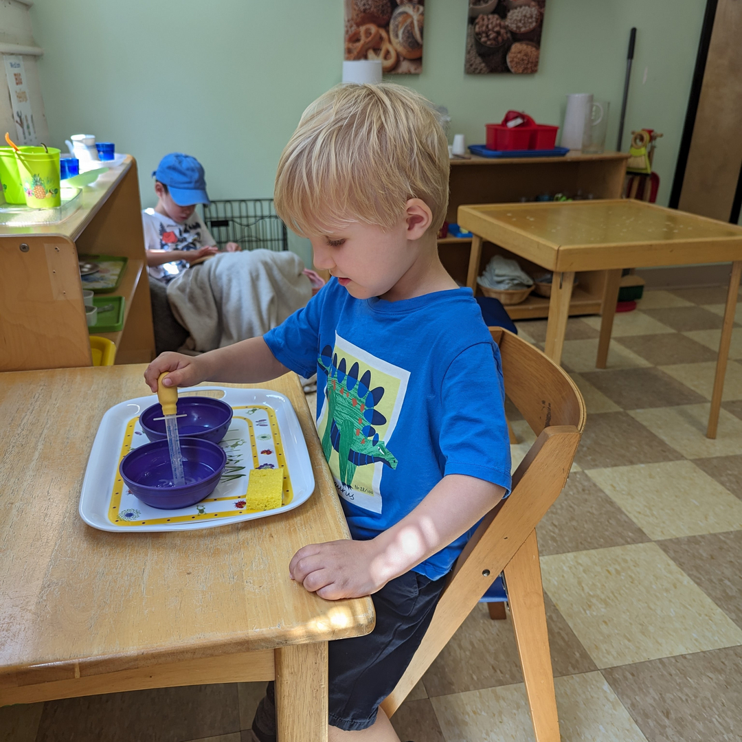 Child focused on a Montessori water transfer practical life activity